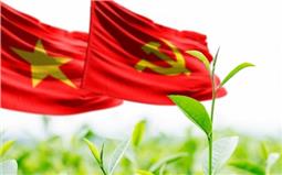 Lá phiếu - quyền lực trên khuôn khổ đường ray